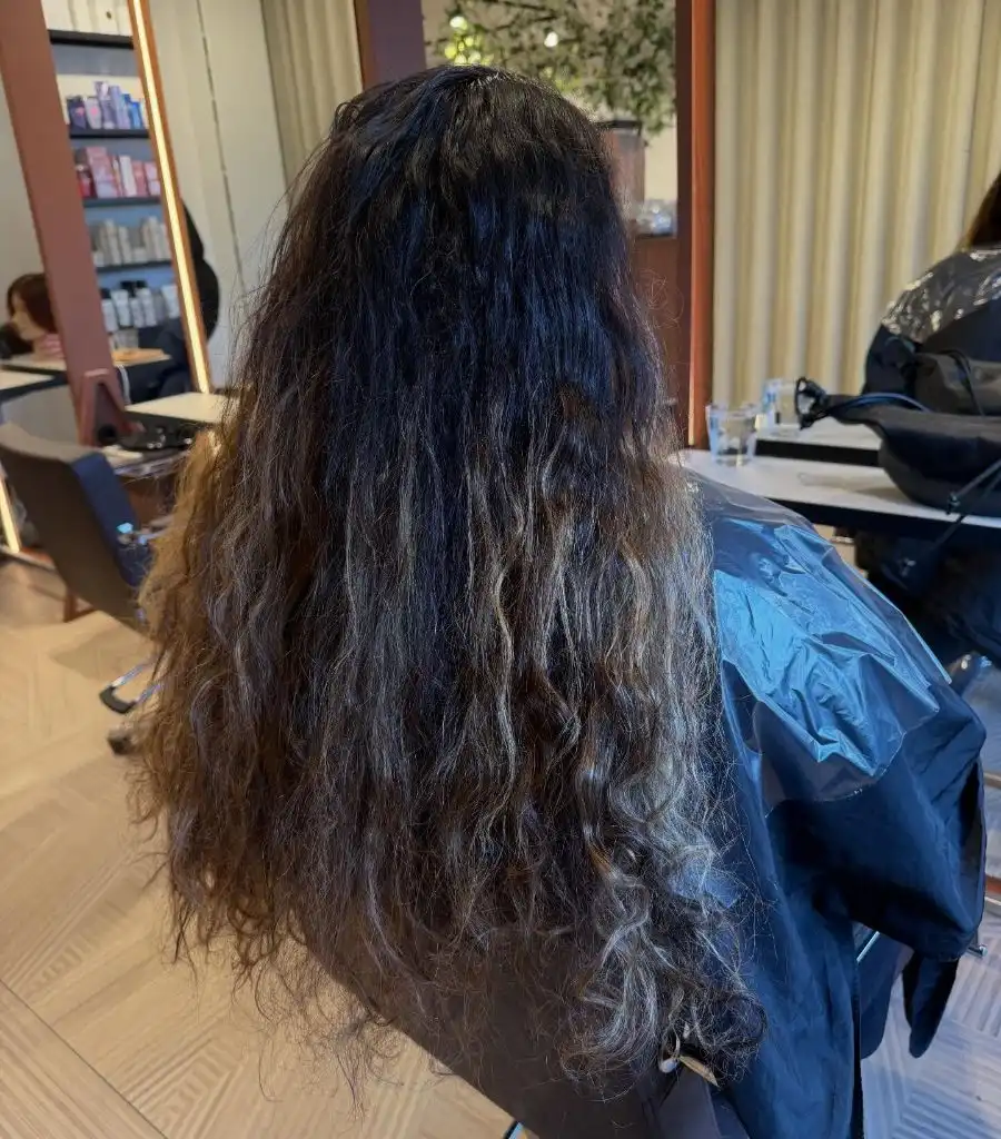 Fall Haircuts for Women 2026 Deep Brunette Natural Curls with Length and Untamed Beauty