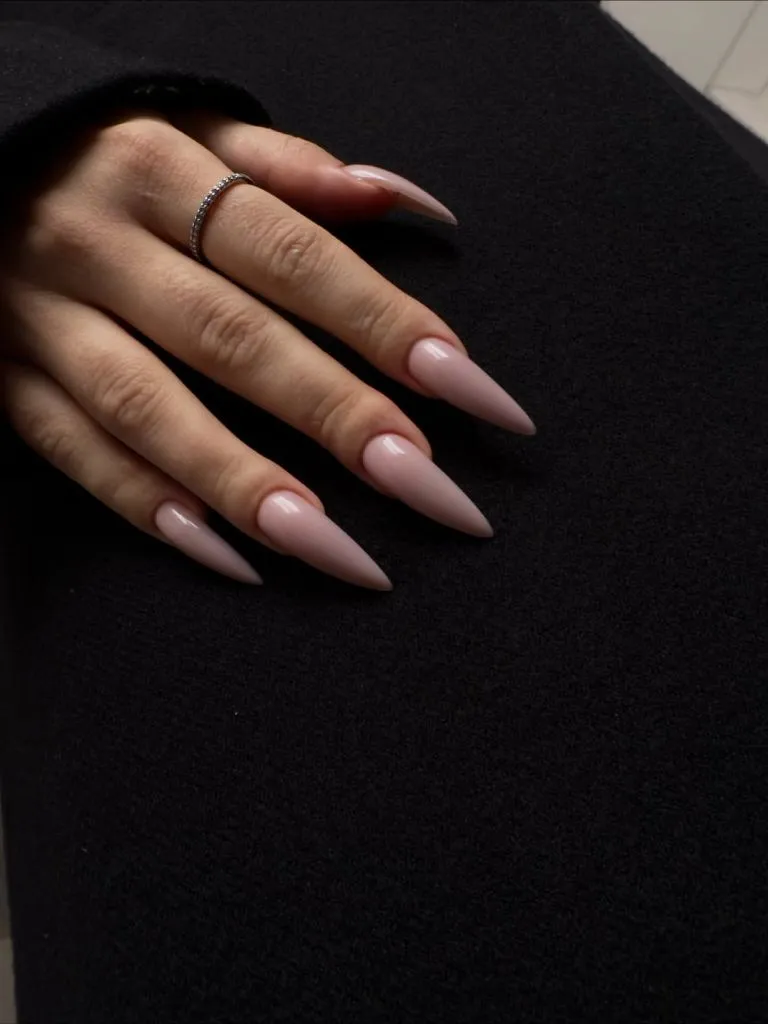 Fall Long Nails 2026 Nude Stiletto Nails In Sheer Pink