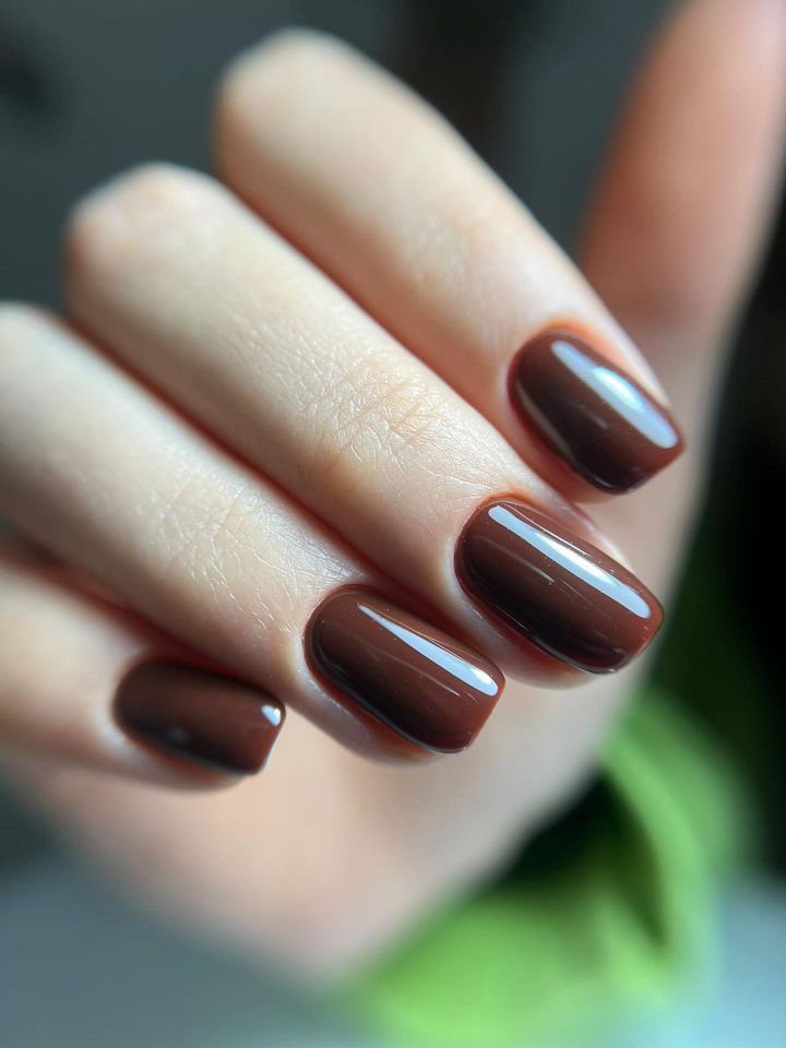 Short rounded nails in a matte espresso chocolate brown shade