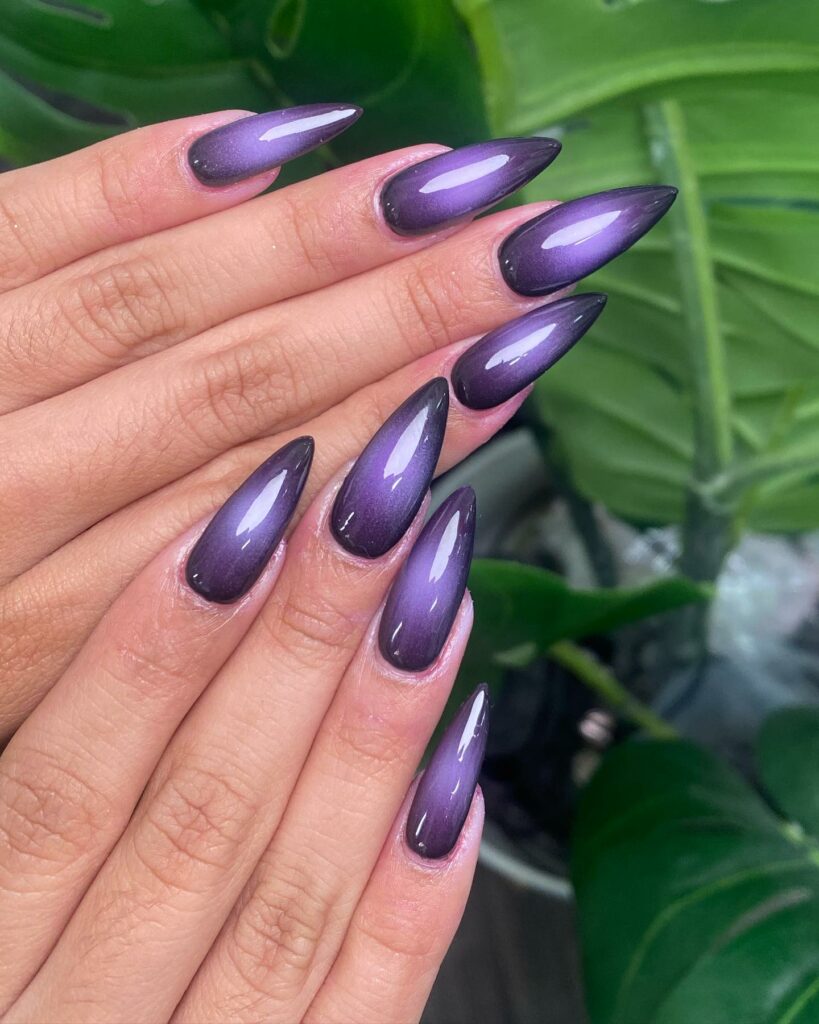 Plum cat-eye magnetic shimmer nails