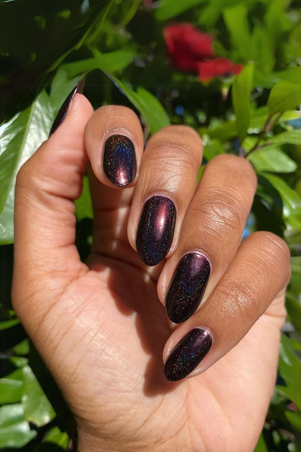 Black Cherry Velvet: an almost-black red velvet on oval nails