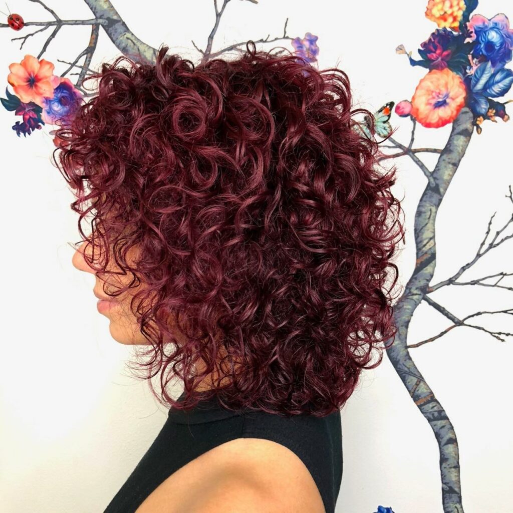 Voluminous burgundy curly hair with copper shine