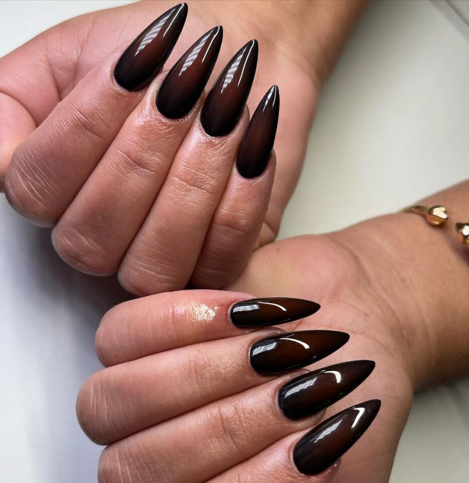 Glossy dark chocolate brown stiletto nails, long