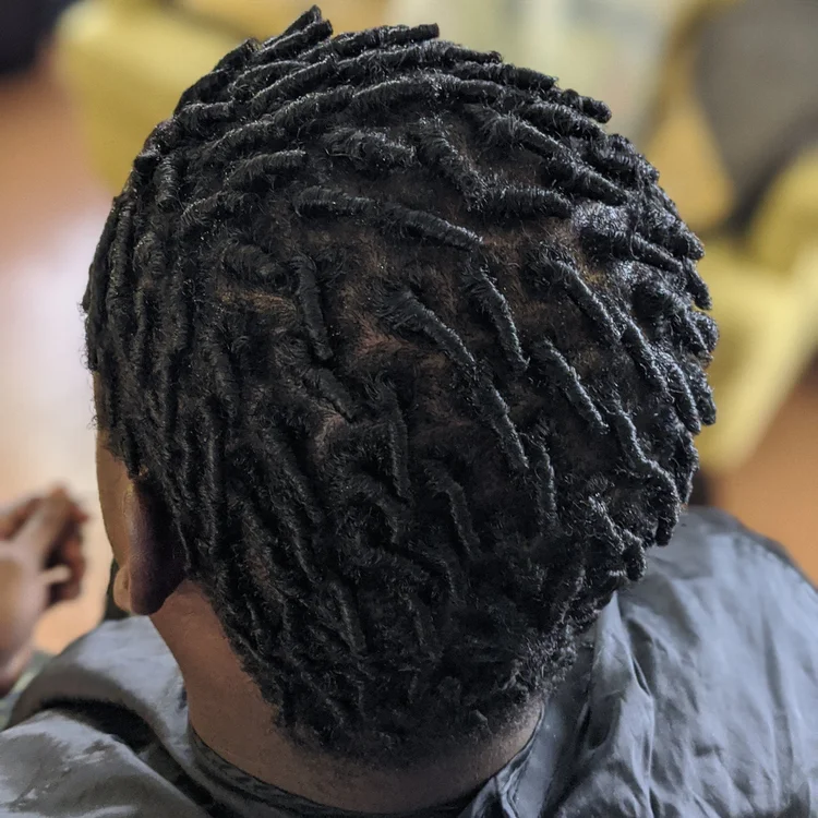 Fresh comb-coil starter locs on a man's head, top view