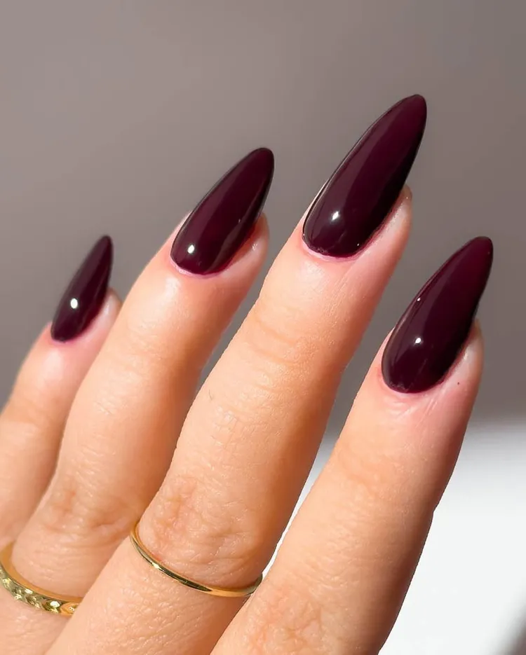 Deep plum glossy nails, long oval