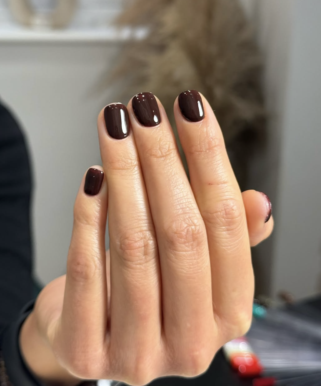 Short squoval nails in a deep glossy milk-chocolate brown crème; real photography.